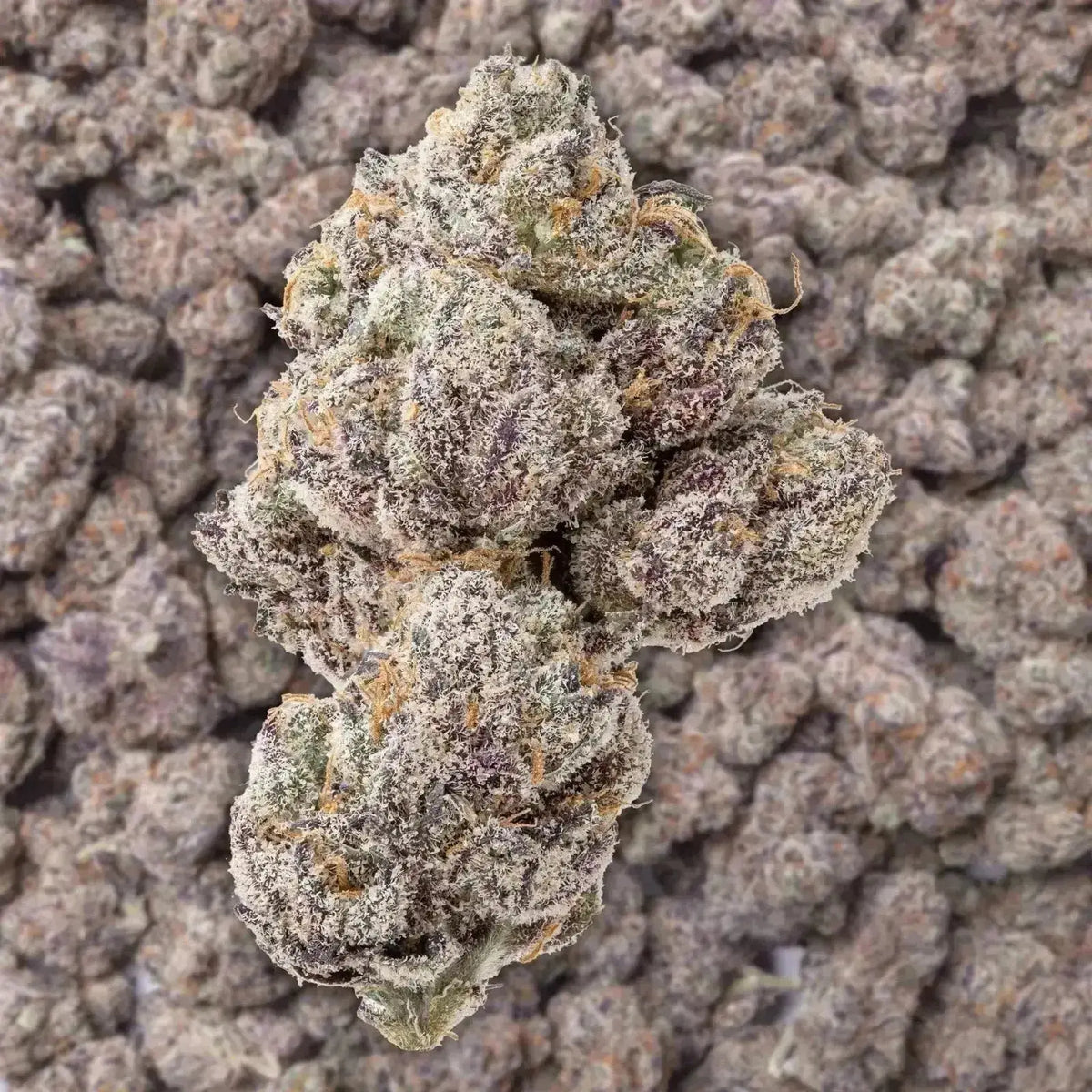 Grape Ape THCa Flower