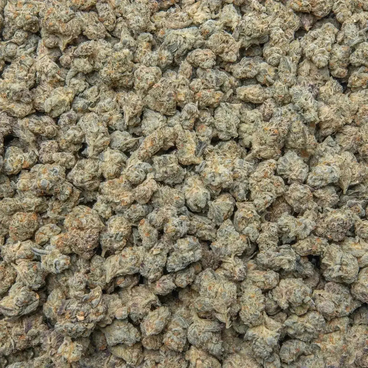 Guava THCa Flower