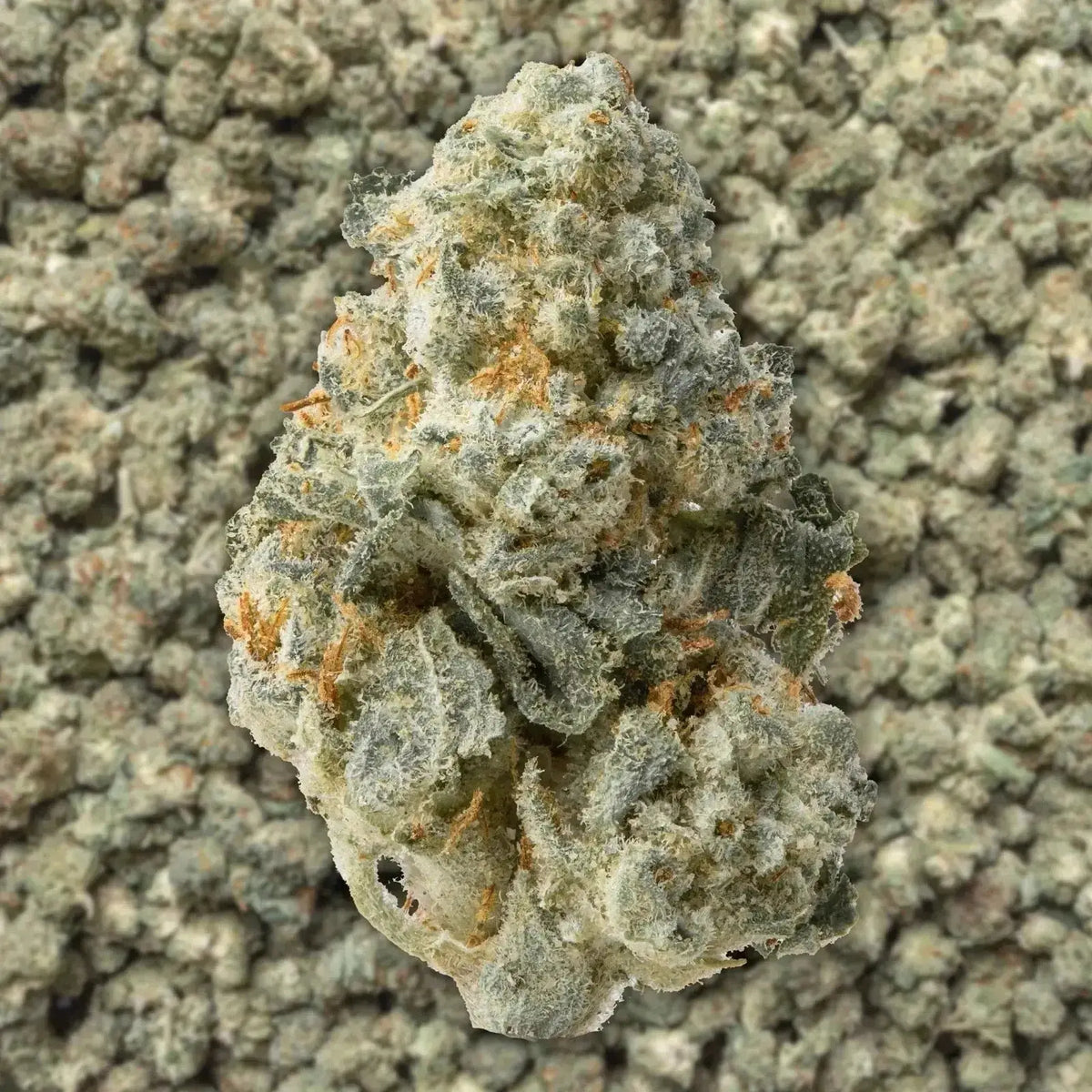 Orange Push Pop Smalls THCa Flower