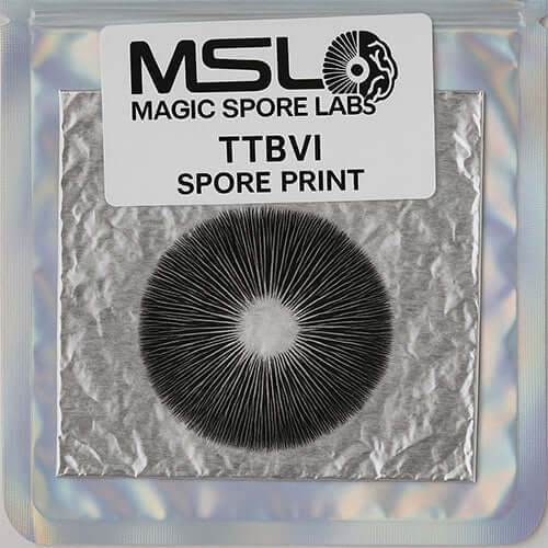 TTBVI Mushroom Spore Print