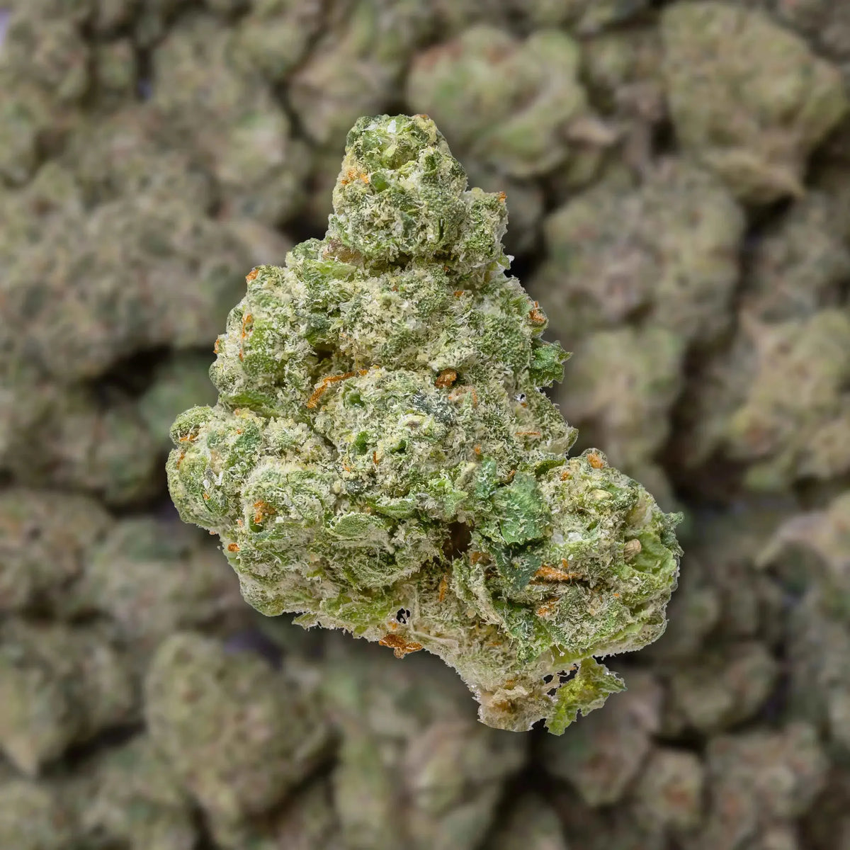 Upside Down Runtz Smalls THCa Flower Ounce
