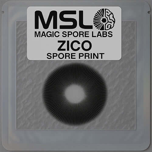 spore-prints collection