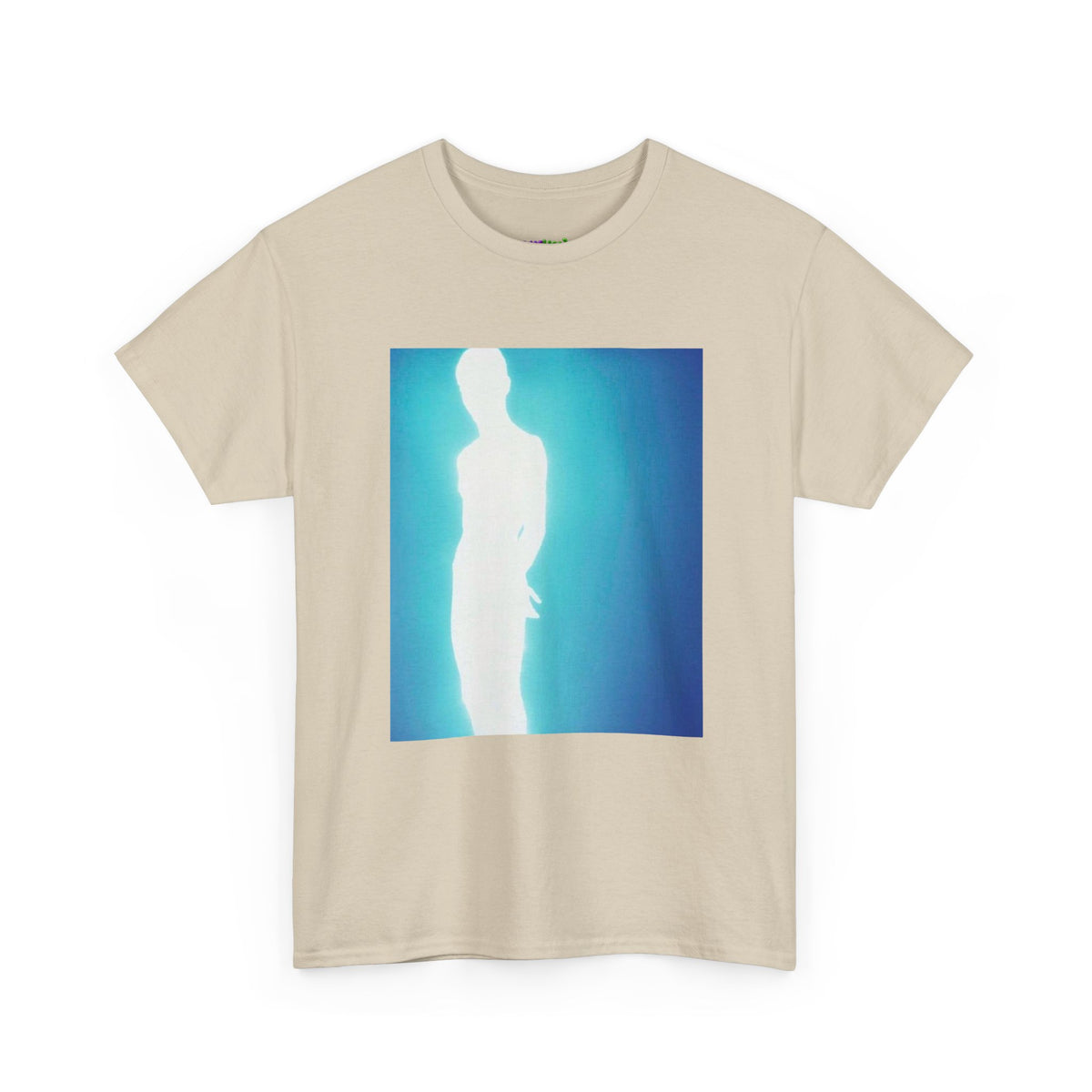 Secret Stash Graphic Tee
