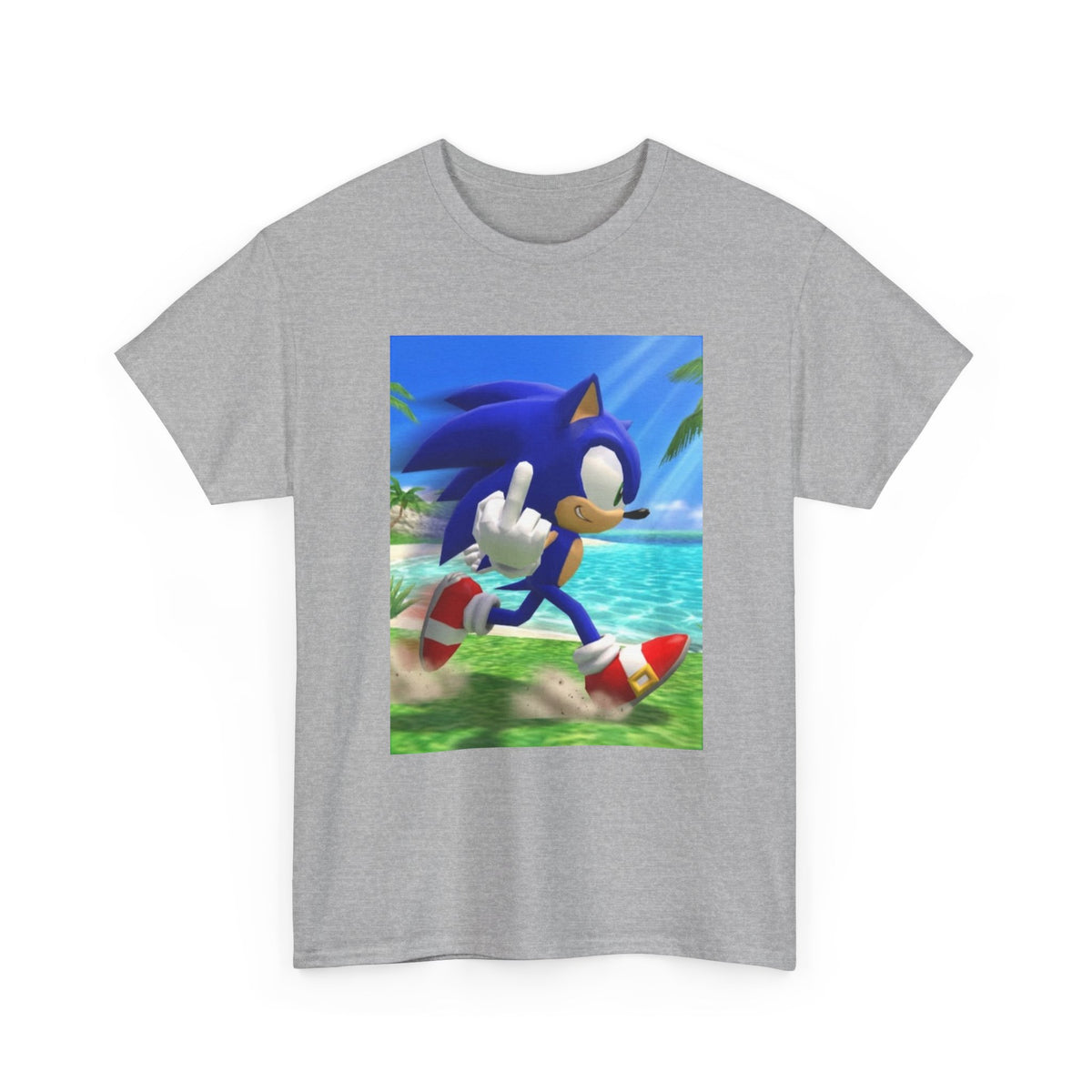 Sonic Flips Off The Beach