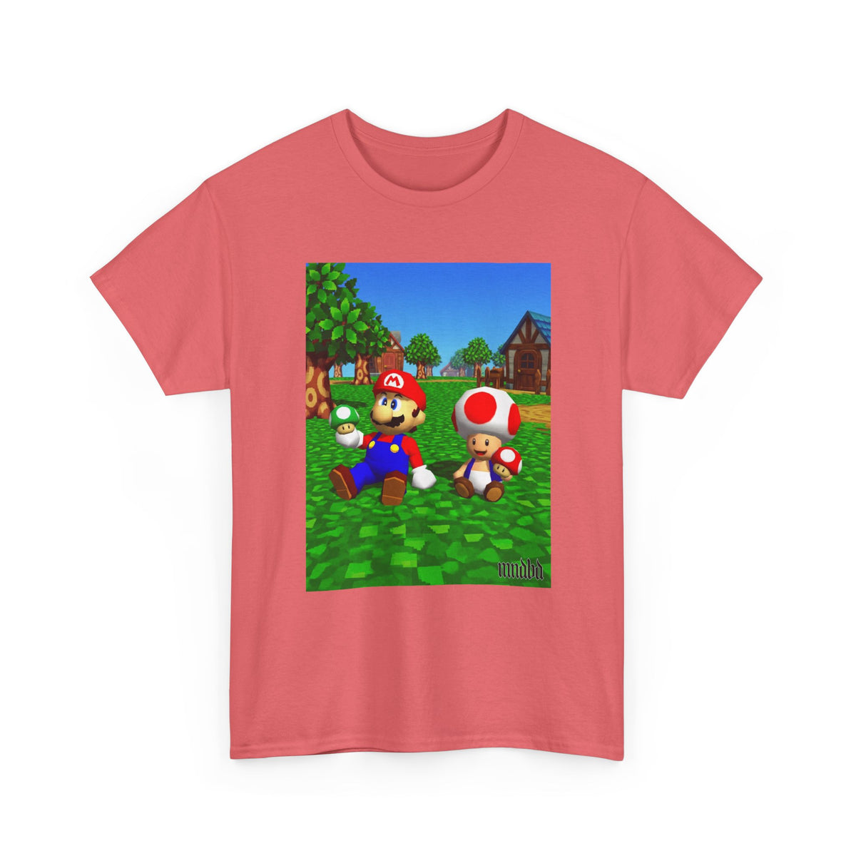 Mario And Toad Chillin' With Shrooms