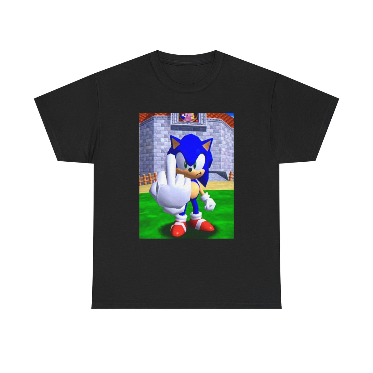 Sonic Flipping Off In The Castle Grounds