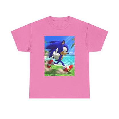 Sonic Flips Off The Beach