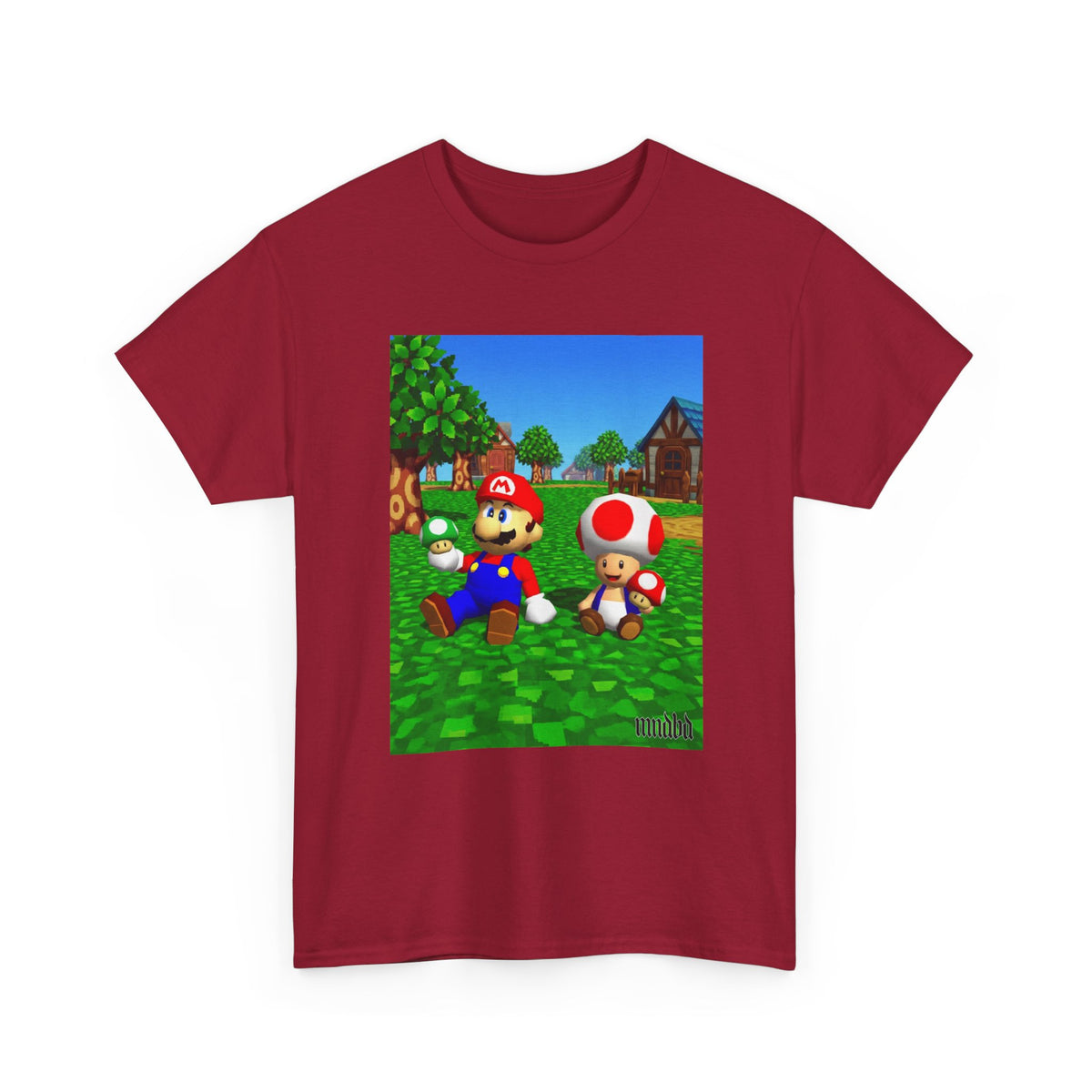 Mario And Toad Chillin' With Shrooms