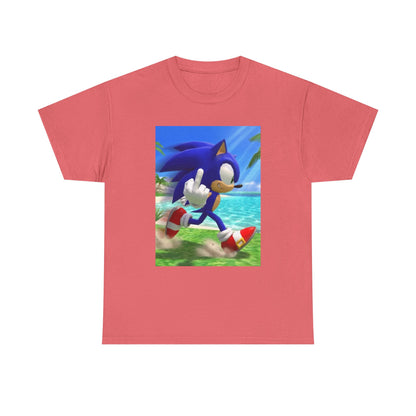 Sonic Flips Off The Beach