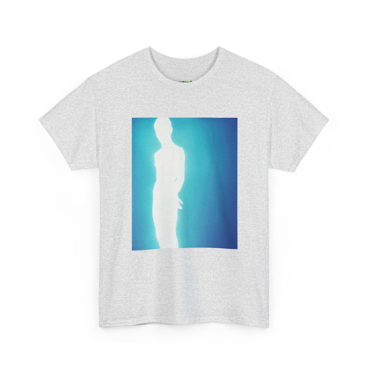 Secret Stash Graphic Tee
