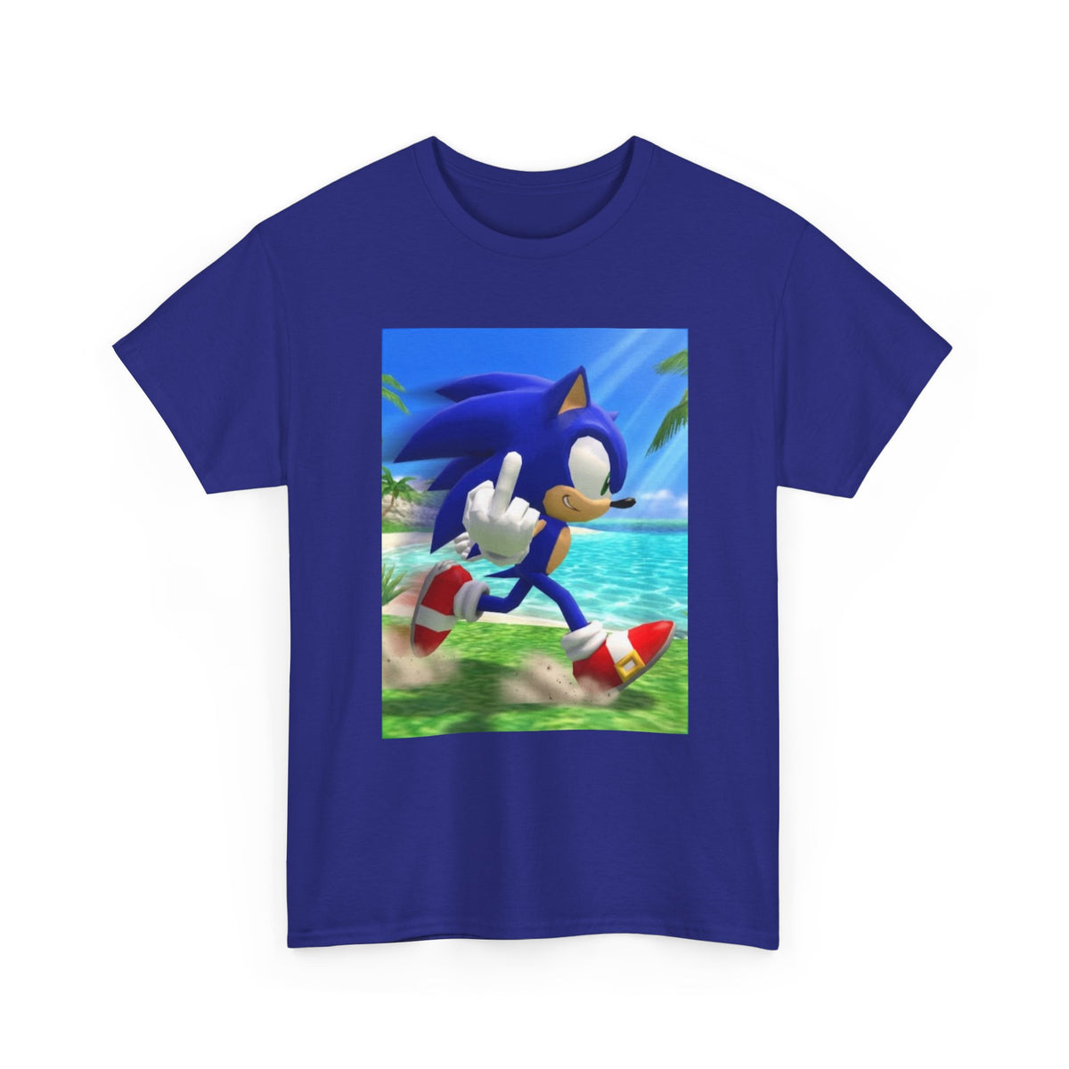 Sonic Flips Off The Beach
