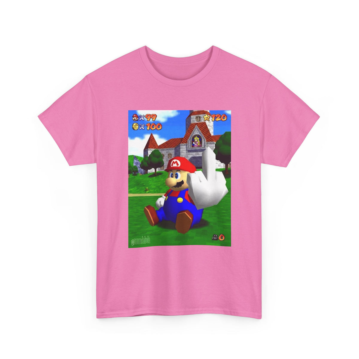 Mario Giving The Finger At Peach's Castle