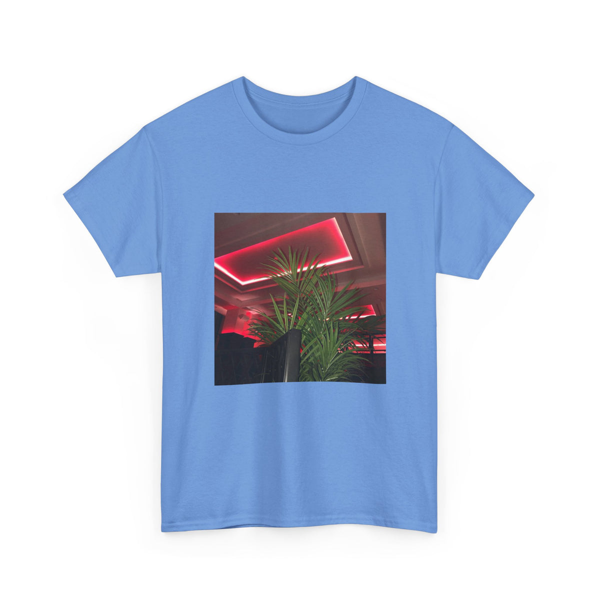 Hidden Echo Graphic Tee