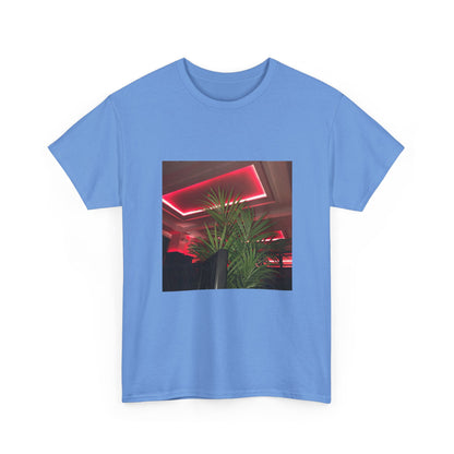 Hidden Echo Graphic Tee
