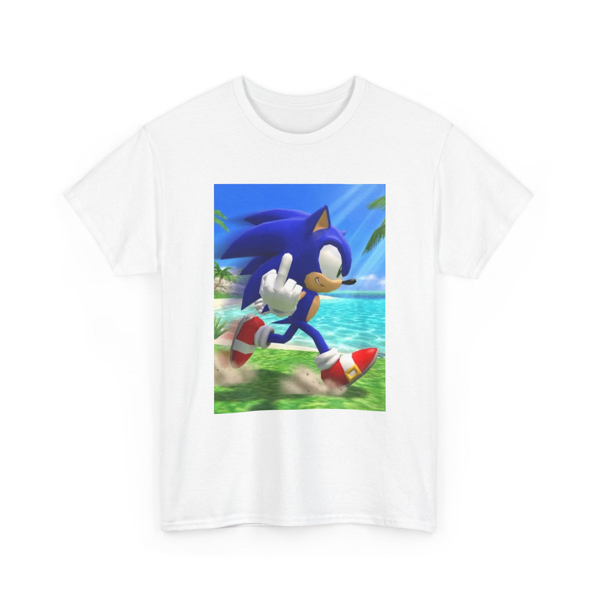 Sonic Flips Off The Beach