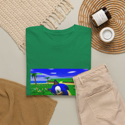 Sonic On A Trippy Green Hill Zone