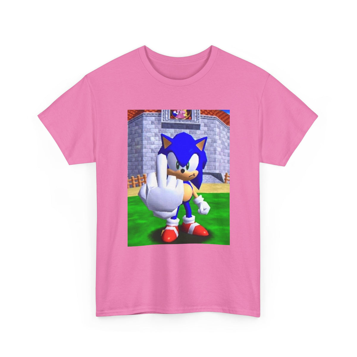 Sonic Flipping Off In The Castle Grounds