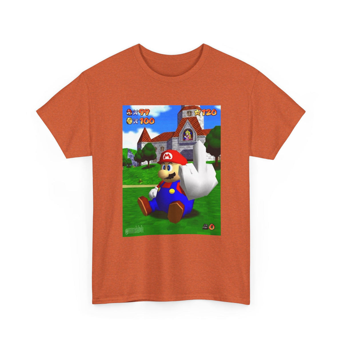 Mario Giving The Finger At Peach's Castle