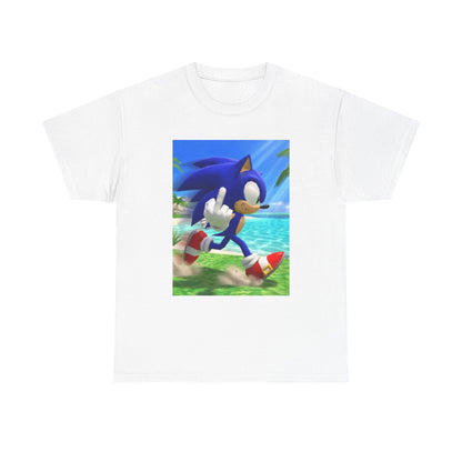 Sonic Flips Off The Beach