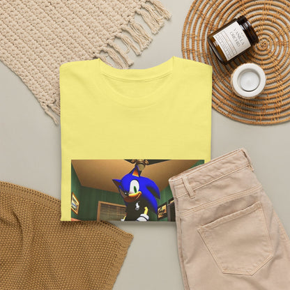 Swagged Out Sonic Chillin' In The Crib