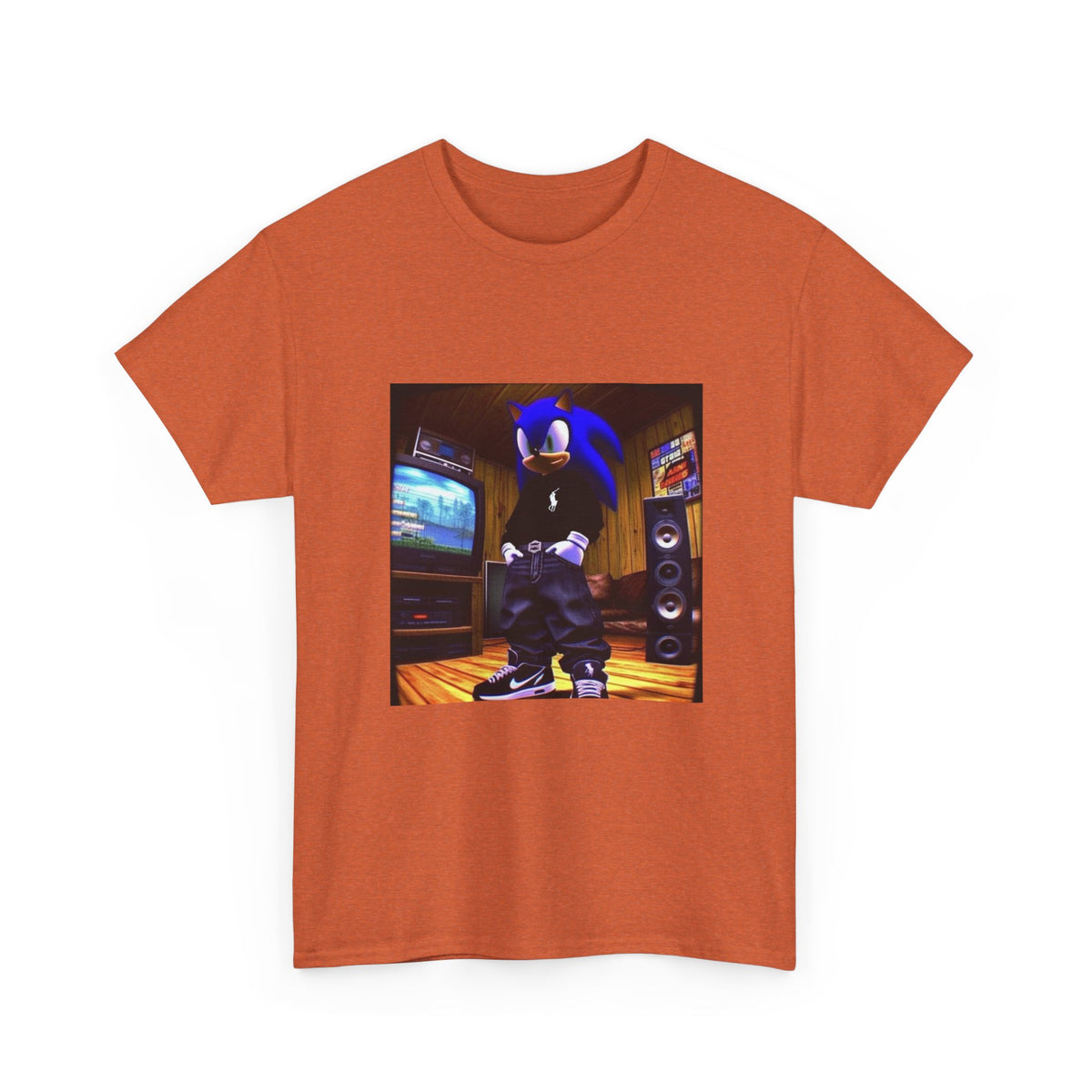 Sonic Drip Posing In A Retro Room