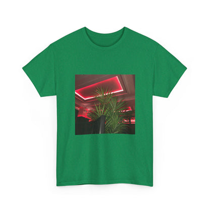 Hidden Echo Graphic Tee