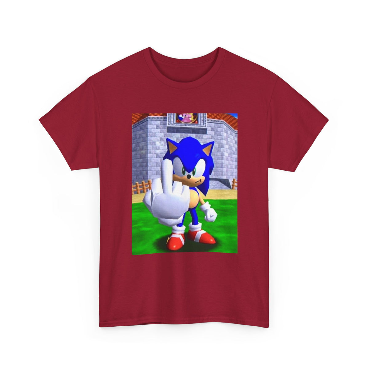 Sonic Flipping Off In The Castle Grounds