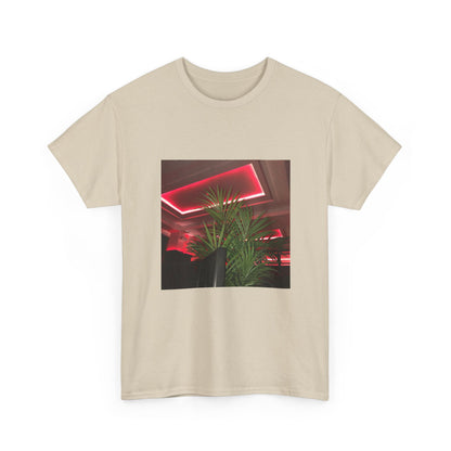 Hidden Echo Graphic Tee