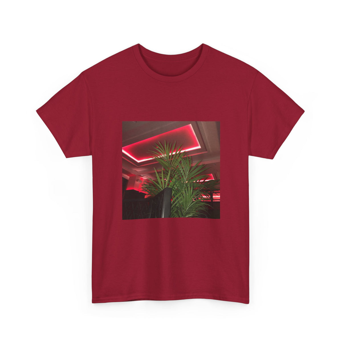 Hidden Echo Graphic Tee