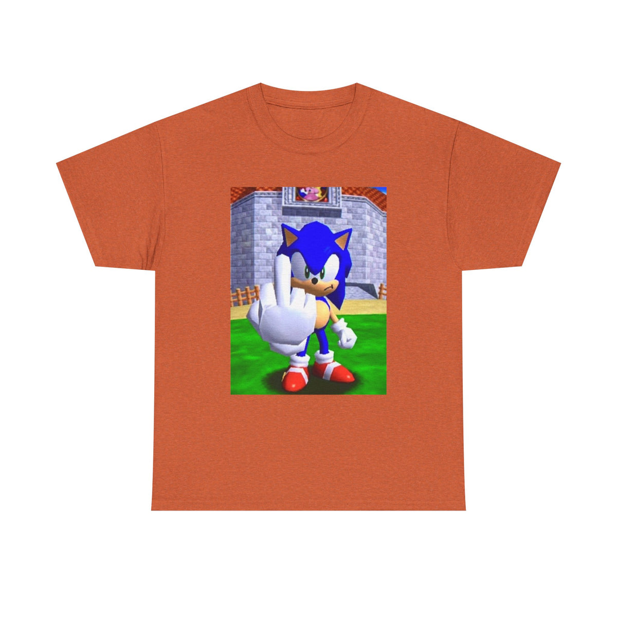 Sonic Flipping Off In The Castle Grounds