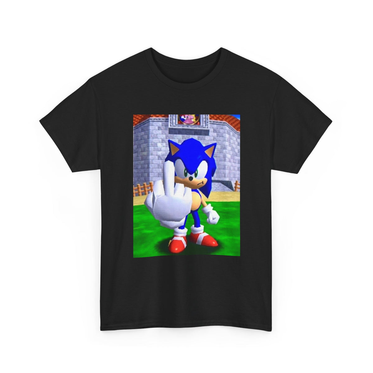 Sonic Flipping Off In The Castle Grounds