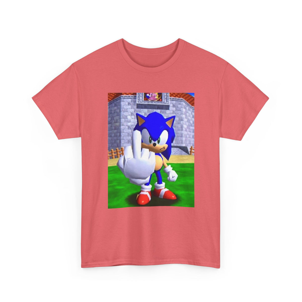 Sonic Flipping Off In The Castle Grounds
