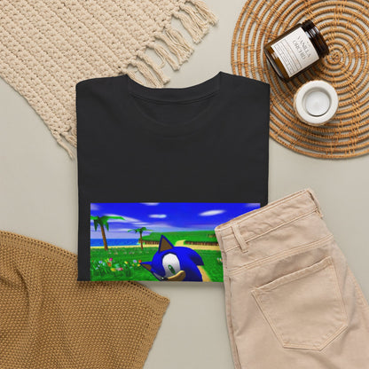 Sonic On A Trippy Green Hill Zone