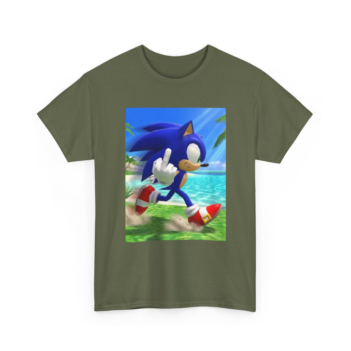 Sonic Flips Off The Beach