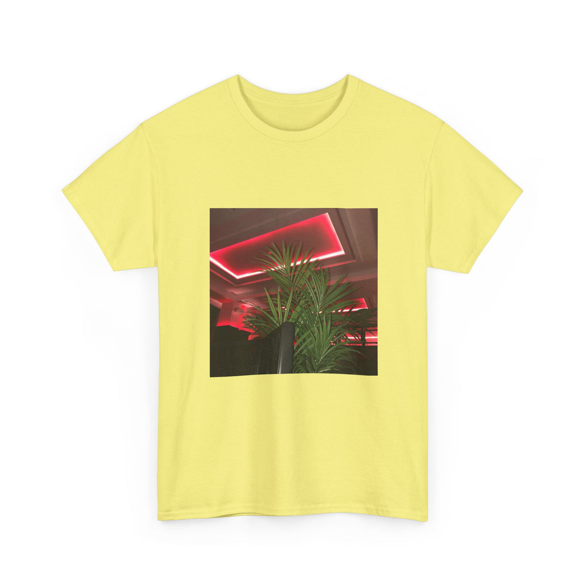 Hidden Echo Graphic Tee