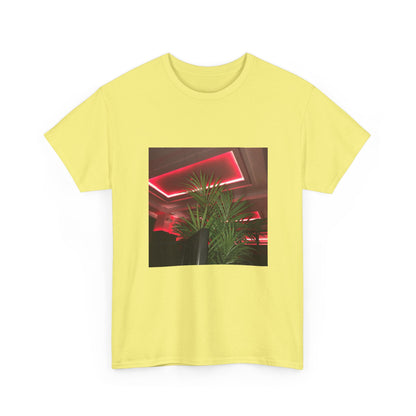 Hidden Echo Graphic Tee