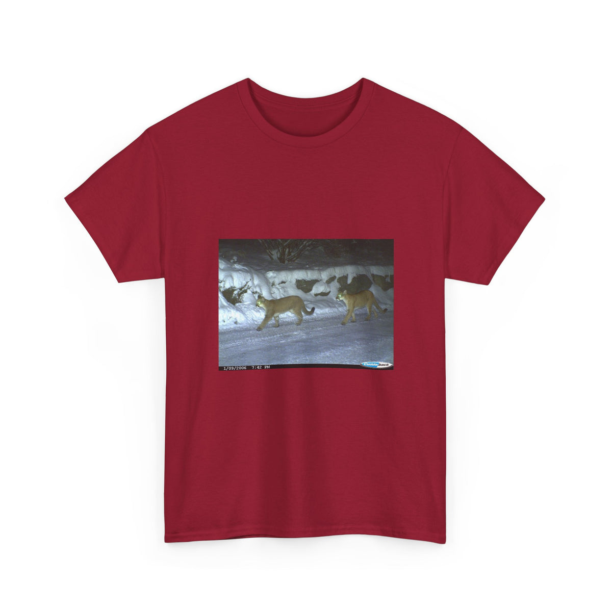 Neon Echo Graphic Tee
