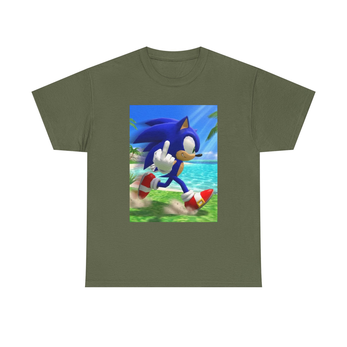 Sonic Flips Off The Beach