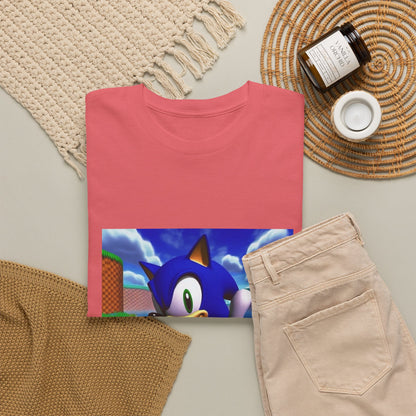 Sonic Giving Thumbs Up With Mario