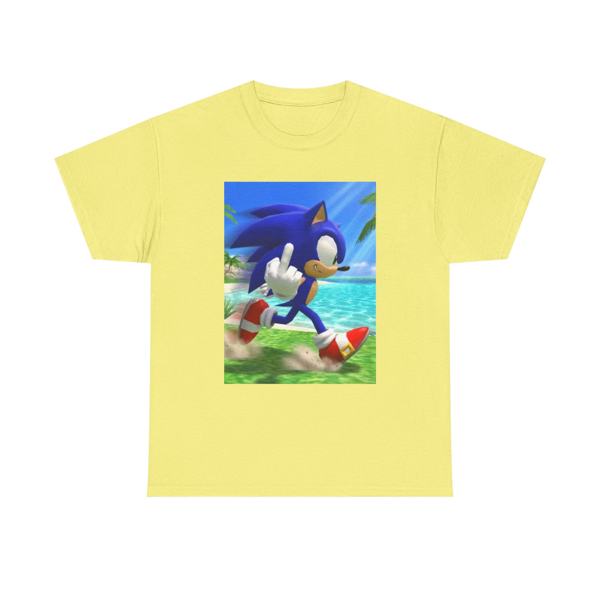 Sonic Flips Off The Beach