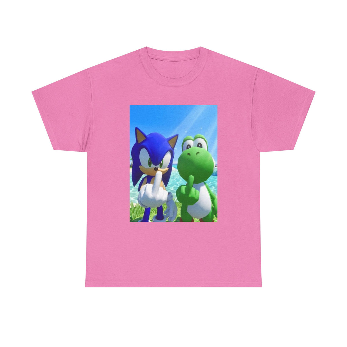 Sonic And Yoshi Flipping Off On The Beach