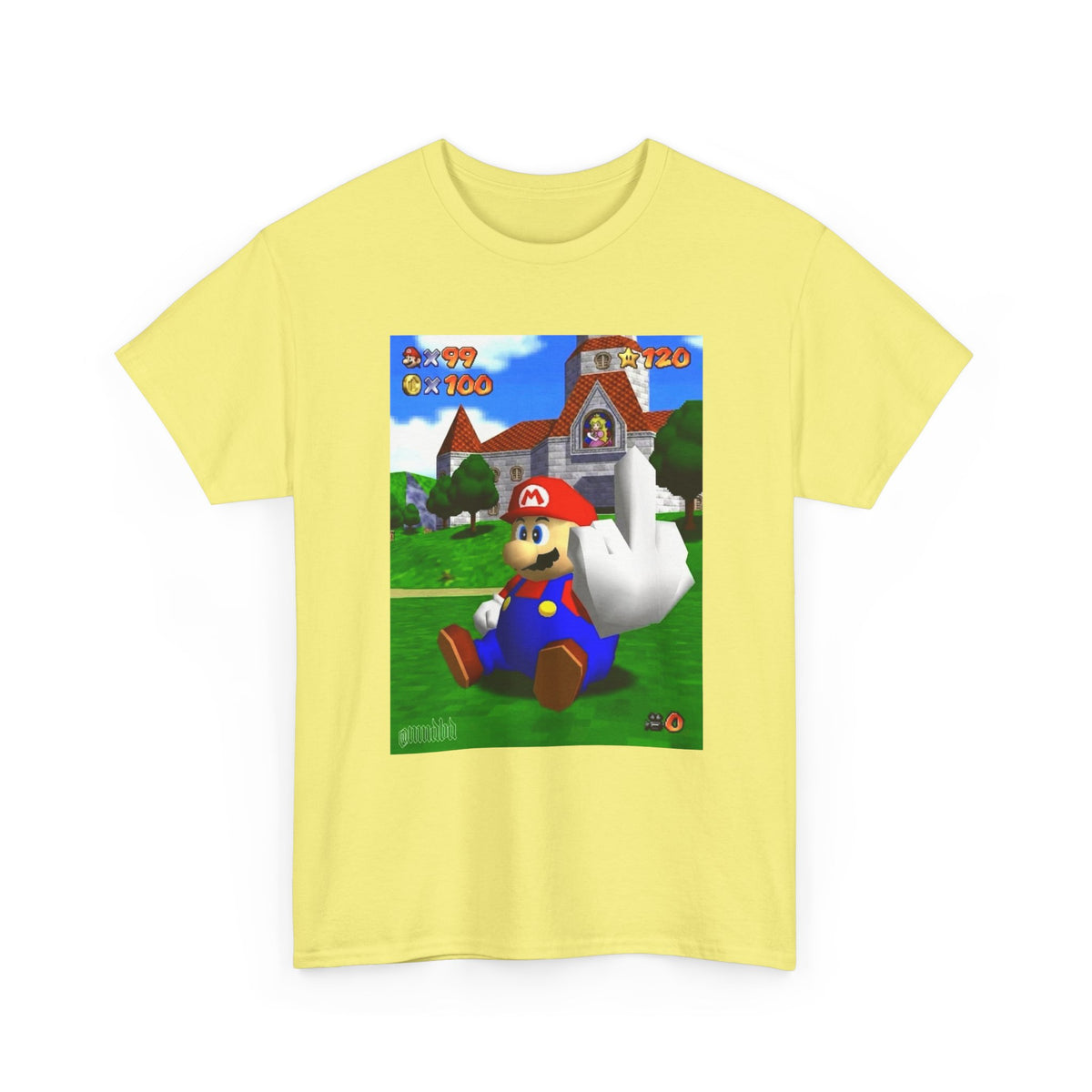 Mario Giving The Finger At Peach's Castle