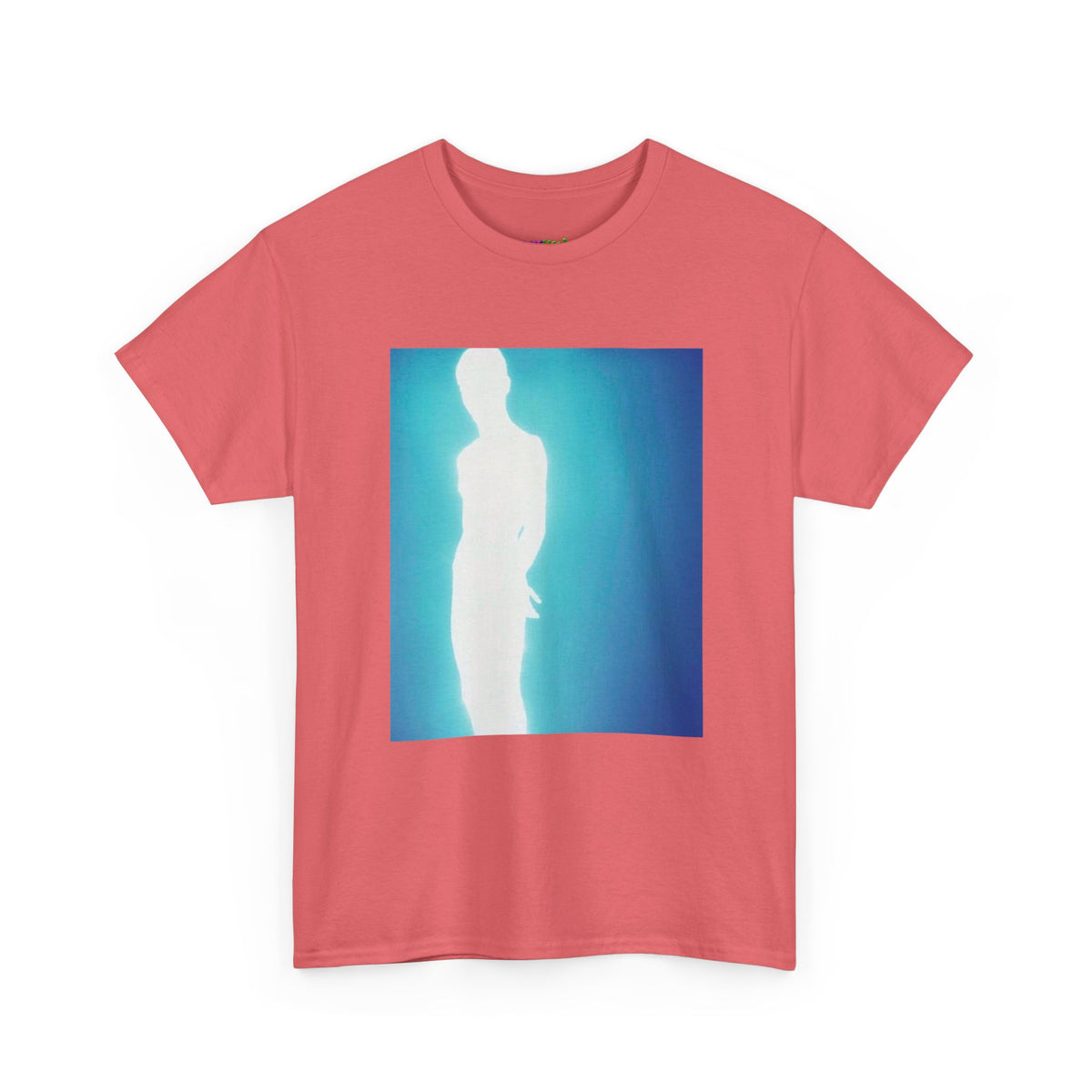 Secret Stash Graphic Tee