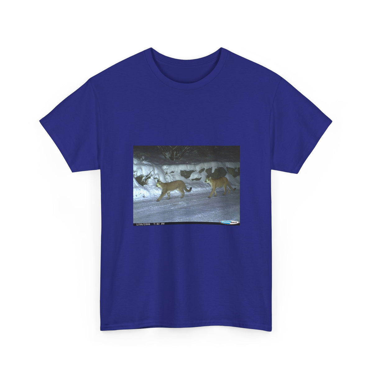 Neon Echo Graphic Tee
