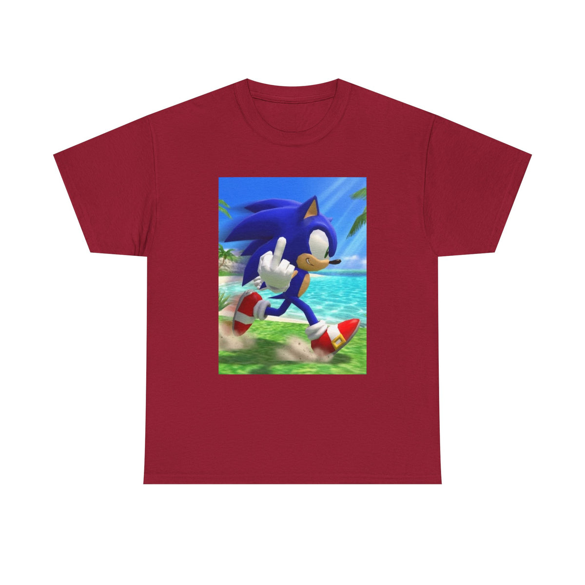 Sonic Flips Off The Beach