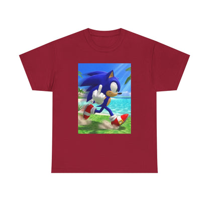 Sonic Flips Off The Beach