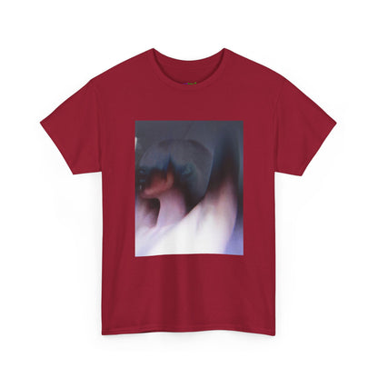 Empty Frame Graphic Tee