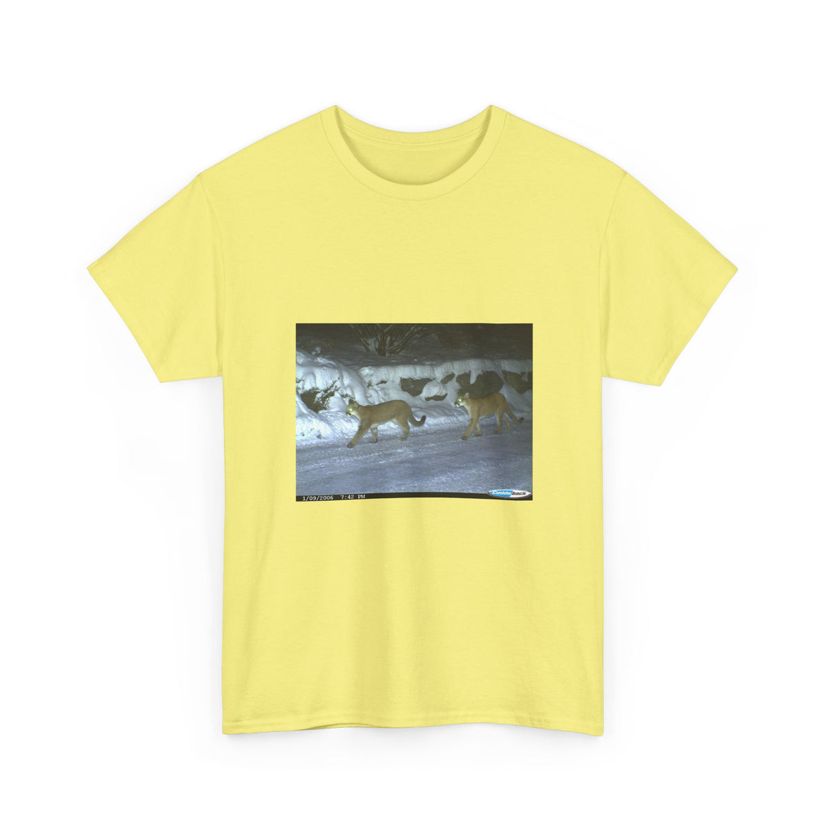 Neon Echo Graphic Tee