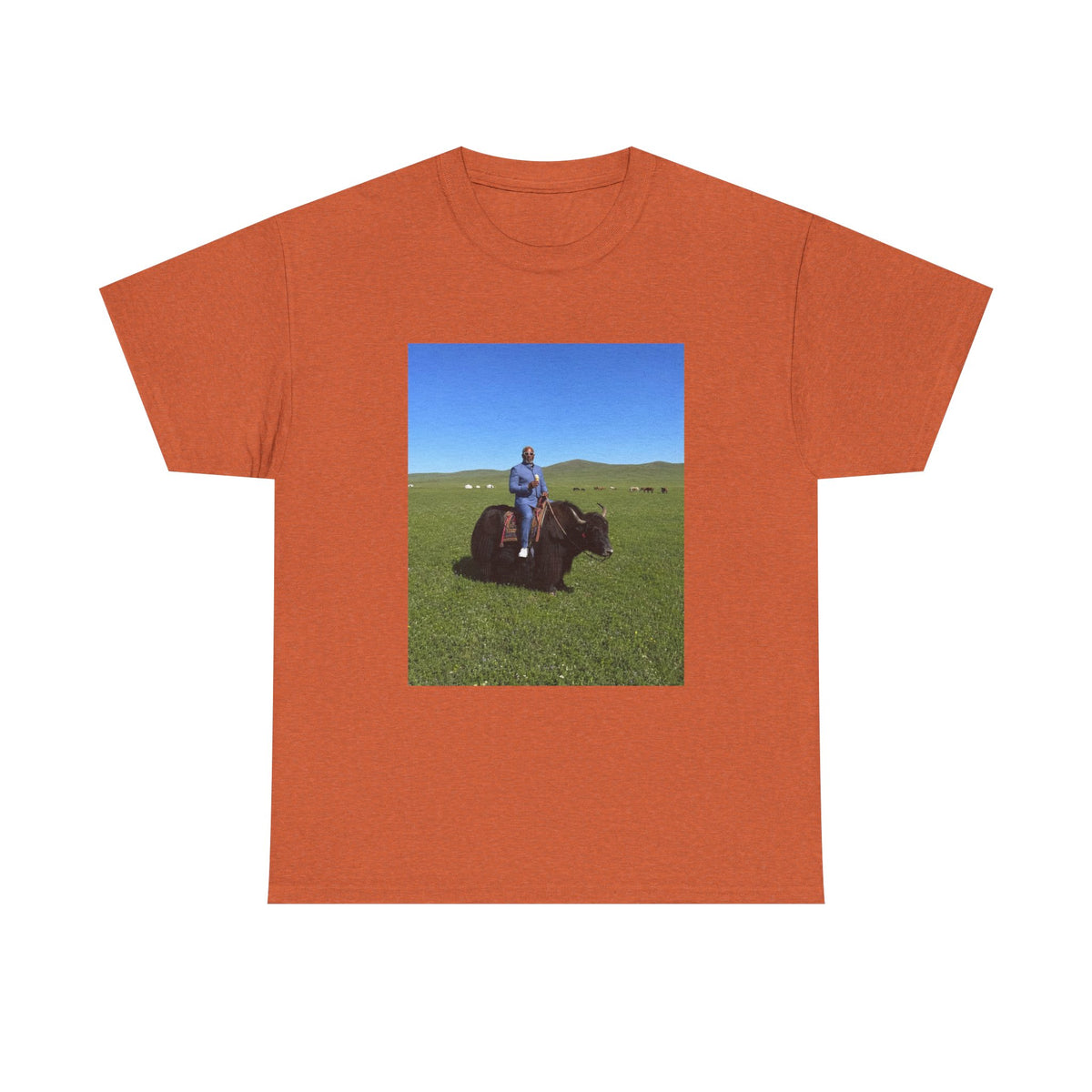 Dr. Clovis — Nifty New Creation