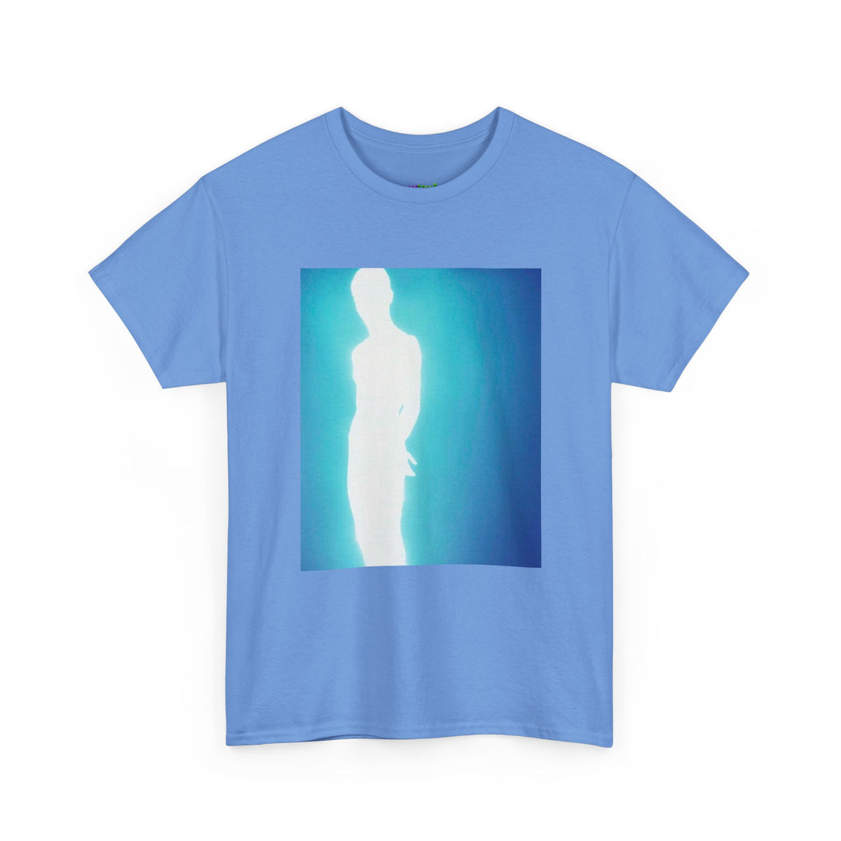 Secret Stash Graphic Tee